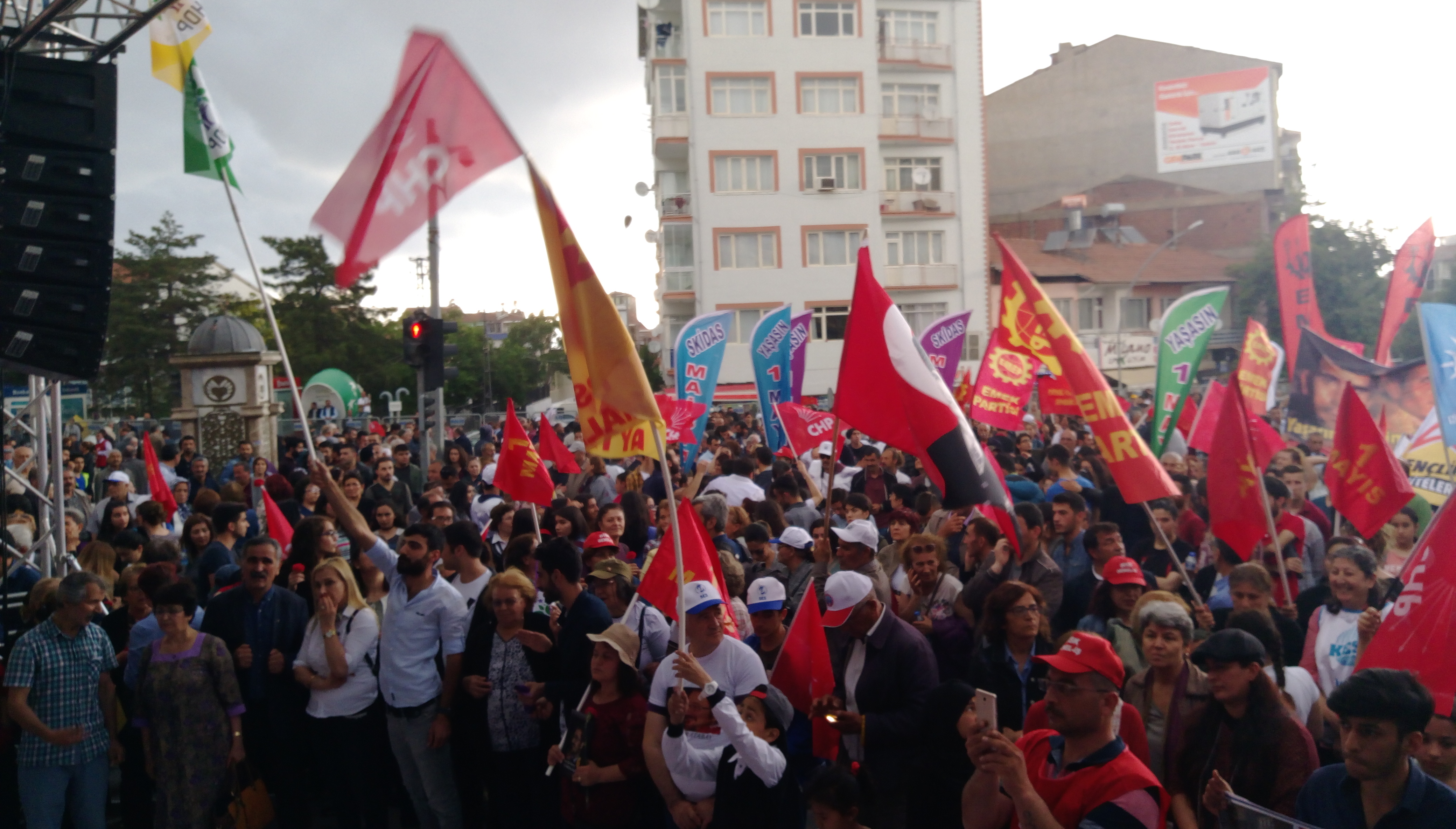 IMAG0836